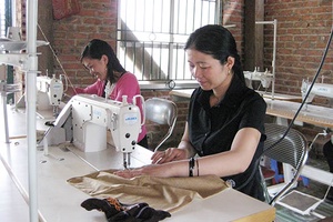 Toàn tỉnh: 13.200 lao động được hỗ trợ tạo việc làm