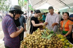 Người Hà Nội dậy sớm háo hức đi mua nhãn Sơn La