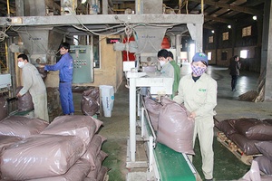 Chỉ số sản xuất ngành công nghiệp tháng 7 tăng 5%