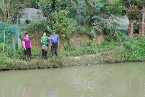 Sốp Cộp mở rộng mô hình nuôi cá