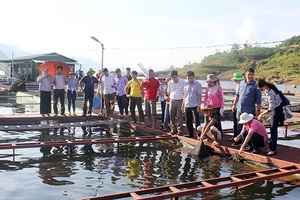 “Dân vận khéo” với những mô hình cụ thể, hiệu quả