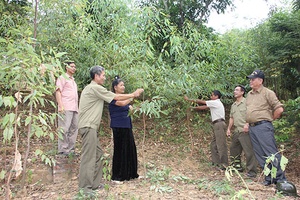 Đảng bộ thị trấn Sông Mã tăng cường công tác kiểm tra, giám sát