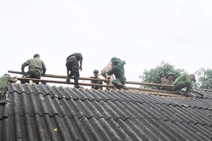 Chương trình tình nguyện “Hành quân xanh”