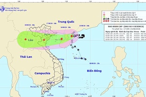 Các tỉnh, thành phố Bắc Bộ và Bắc Trung Bộ chủ động ứng phó với bão số 4