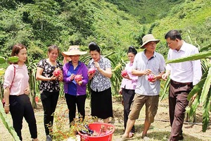 Ban Dân vận tỉnh ủy khảo sát kết quả triển khai, thực hiện phong trào thi đua “Dân vận khéo” tại huyện Thuận Châu