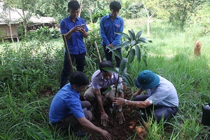 Chương trình tình nguyện “Kỳ nghỉ hồng”