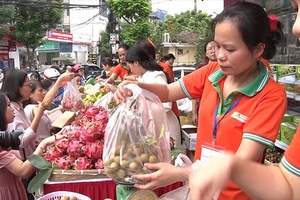 Nhãn Sơn La được mùa, được giá