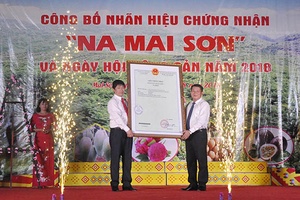 Mai Sơn: Công bố nhãn hiệu chứng nhận “Na Mai Sơn” và Ngày hội nông sản năm 2018