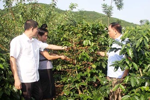 Ban Dân vận tỉnh ủy khảo sát kết quả triển khai, thực hiện phong trào thi đua “Dân vận khéo” tại Thành phố