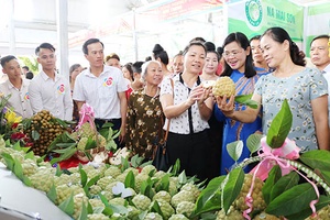 Ngày hội nông sản Mai Sơn