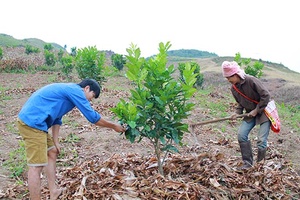 Một ngày ở bản tái định cư Mường Bó