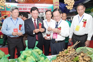 Mộc Châu tưng bừng trong Tết Độc lập