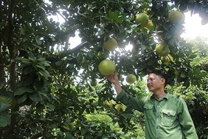 Trưởng bản năng động, nhiệt tình