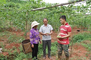 Trao “cần câu” cho lao động nông thôn