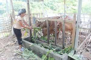 Mường Bú thực hiện tốt các chính sách giảm nghèo