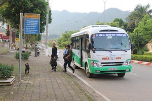 Niềm vui trên tuyến xe mới
