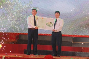 Thương hiệu sơn tra Sơn La  và điểm đến du lịch Bắc Yên