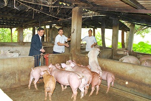 Đồng hành cùng người nghèo