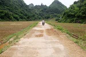 Phong trào làm đường nội bản ở Chiềng La