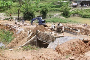 Hỗ trợ phát triển kinh tế xã hội vùng đồng bào dân tộc thiểu số