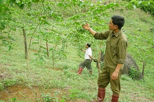 Mường Men nỗ lực thoát nghèo