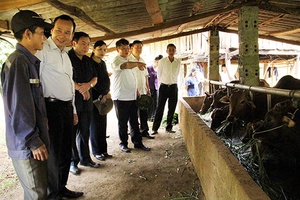 Đoàn kiểm tra BCĐ thực hiện Đề án 61 Trung ương làm việc với huyện Thuận Châu