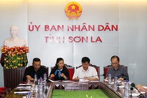 Quảng bá, xúc tiến tiêu thụ và đẩy mạnh xuất khẩu nông sản của tỉnh Sơn La: Bài 2: Để quả nhãn Sơn La vươn ra các thị trường