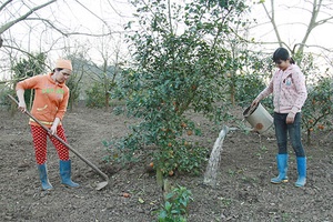 Làm giàu từ cây ăn quả