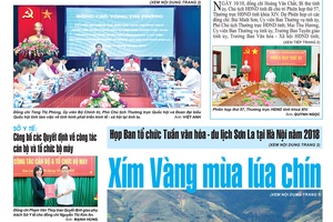 Báo Sơn La, Thứ 5 ngày 11/10/2018
