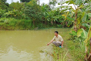 Gặp triệu phú bản Tà Lọt