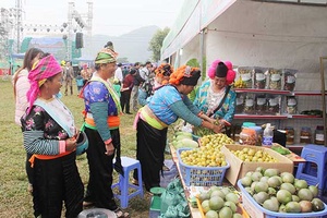 Thuận Châu hân hoan trong Ngày hội nông sản