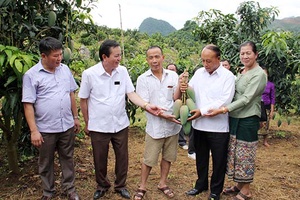 Trồng cây ăn quả trên đất dốc - Hướng đi bền vững của nông nghiệp Sơn La: Kỳ III: Thương hiệu nông sản Sơn La an toàn