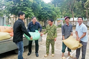 Thuận Châu: Hỗ trợ gần 1 tấn gạo 25 hộ dân bị thiệt hại do mưa lũ