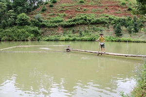 Nậm Lạnh phát triển mô hình nuôi cá hiệu quả