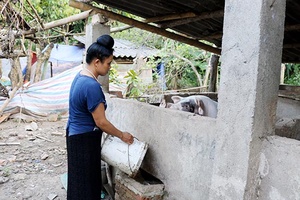 “Dân vận khéo” gắn kết chị em thi đua làm giàu