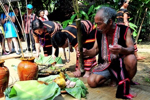 Người Xơ Đăng “Mừng lúa mới”