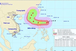 Chủ động ứng phó với bão Yutu