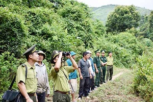 Sốp Cộp: Thực hiện tốt công tác khoanh nuôi, bảo vệ rừng