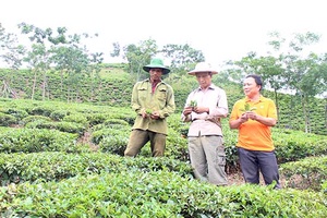 Vân Hồ: Bình quân mỗi xã đạt 7,8 tiêu chí về xây dựng NTM