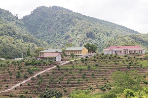 Cuộc sống mới ở bản Dân Quân