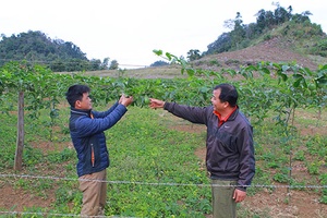 Quan tâm hỗ trợ, đào tạo nghề cho thanh niên