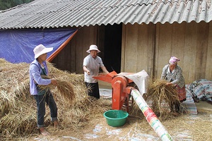 Lóng Sập chuyển mình