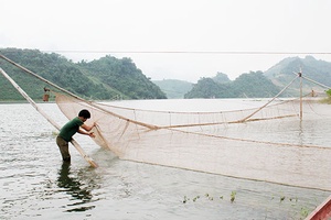 Kéo vó đèn cùng ngư dân Chiềng Ơn