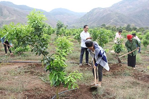 Về cơ sở “Nghe dân nói, nói dân hiểu, làm dân tin”