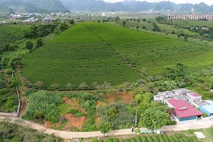 Mộc Châu thu hút đầu tư vào lĩnh vực du lịch