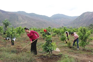 Sông Mã: Nhiều hoạt động thiết thực giúp nông dân