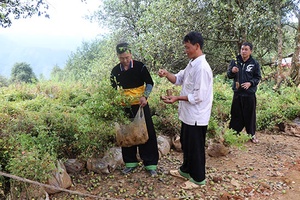 Chung tay giúp đỡ người nghèo