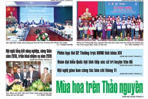 Báo Sơn La, Thứ 5 ngày 29/11/2018