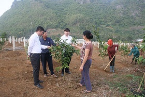 Agribank Thuận Châu tập trung tăng trưởng tín dụng