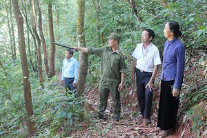 Chiềng Hắc bảo vệ rừng